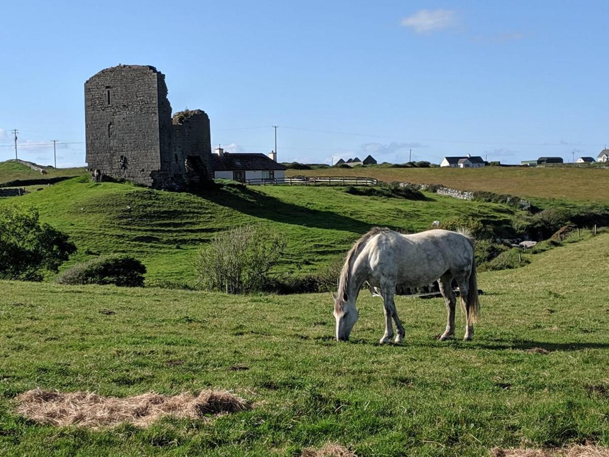 Luxury Lodges In Doolin Village With Hot Tubs Eksteriør billede